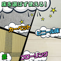 レック 激落ちくん ちょい掃除粘着クリーナー S00854 1個