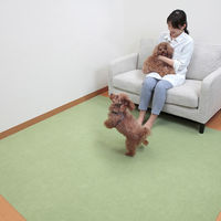 サンコー ペット用床保護マット 60×240cm グリーン KM-58 1個（直送品）