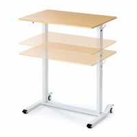 【アウトレット】サンワサプライ ガス昇降デスク 幅900×奥行600×高さ683～1070mm 薄い木目×ホワイト ERD-G9060LM 1台（直送品）