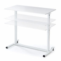 サンワサプライ ガス昇降デスク 幅1200×奥行600×高さ683～1070mm ホワイト×ホワイト ERD-G12060W 1台（直送品）