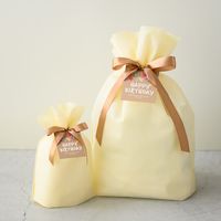 ヘッズ 2重不織布リボン付バッグ-XS/クリーム DFC-RBXS 1組(20枚)