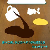iiもの本舗 フローリングワイパー用ウェットシート 4589596693590 1パック（20枚）