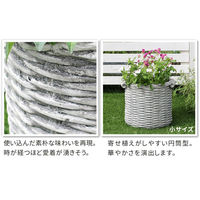 住まいスタイル オールドバスケット バスケット調プランター 円型 小サイズ ホワイト（アンティーク加工） BSPL-255WHT 1個（直送品）