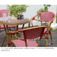 住まいスタイル プレジール ラウンドテーブルセット ブラック PLS-R70-3PSET-BLK 1セット(3点入)（直送品）