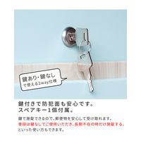 住まいスタイル ルカ 木目調壁掛けポスト 幅300×奥行110×高さ365mm ブルー PST-001BLU 1台（直送品）