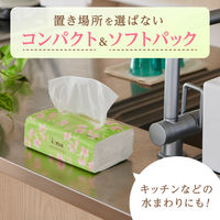 エリエール イーナ ソフトパック ティッシュペーパー 200組 1箱(60個:6個入×10パック) 大王製紙