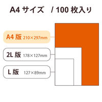 プリンター用紙 写真用紙 A4 100枚 光沢 薄手 ホワイト EJK-TVLA4100 エレコム 1個（直送品）