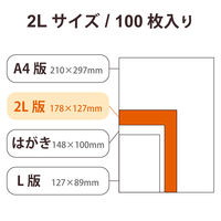 プリンター用紙 写真用紙 2L判 100枚 光沢 薄手 ホワイト EJK-TVL2L100 エレコム 1個