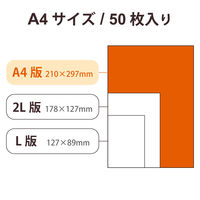 プリンター用紙 写真用紙 A4 50枚 光沢 薄手 ホワイト EJK-TVLA450 エレコム 1個