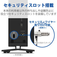 HDD 外付け 20TB d2 Professional STHA20000800 LaCie 1個（直送品）