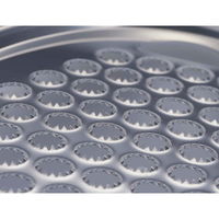 下村企販 おろし金 おろし名人すべらん ステンレス製 日本製 ホワイト 278975 1個（直送品）