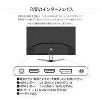 31.5インチ 液晶ディスプレイ(2560x1440/IPS/DP/HDMIx2/チルト/非光沢) JN-IPS315FLWQHDR（直送品）