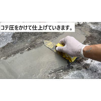 家庭化学工業 家庭化学 セメント 1.3kg グレー 4905488131153 1袋