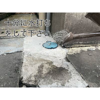 家庭化学工業 家庭化学 セメント 1.3kg ホワイト 4905488132150 1袋