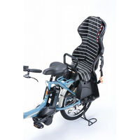 川住製作所 川住 KW-102RC リアチャイルドクッションBKRボーダー 4986012204154 1枚（直送品）