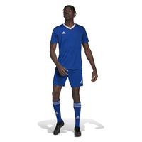 メンズ 半袖シャツ サッカー プラクティスシャツ ENTRADA22 ジャージー J/S チームロイヤルブルー ZG486（直送品）