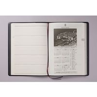 高橋書店 【2023年4月版】卓上日誌 A5 5年連用 茶 953 1冊（直送品）