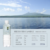 エー・ピー・オー Plusui（プラスイ）ミネラルウォーター 500ml PET1セット（48本）