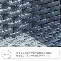 三栄コーポレーション ラタン調ガーデンソファ・テーブル 3セット　ブラウン A1-LZN3SETBRBE 1セット（直送品）