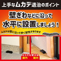 置くだけ いなくなる ムカデ ハンター 屋内 屋外兼用タイプ 駆除剤 置き型 百足 対策 1箱（2個入） KINCHO キンチョー