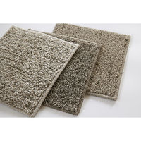 スミノエ 洗える ラグ ソル 190×240cm グレージュ 4549781289991 1枚