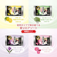 【大容量アソート】 いい湯旅立ち 贅沢炭酸湯 濃厚にごり 8種アソート 1セット（32錠入×3パック）医薬部外品 白元アース