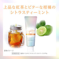 Lightee（ライティー） ハミガキPREMIUM シトラスティーミント 100g 1セット（2本） ライオン 歯磨き粉 美白