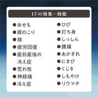 ビューウェル アンドグッドナイト 薬用入浴剤（重炭酸）無香料 15g×9錠 グローバルプロダクトプランニング 安眠 タブレット