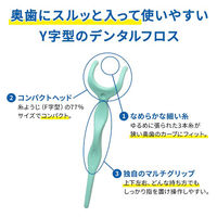 デンタルフロス Y字型 小林製薬の糸ようじ スルッと入るタイプ 1セット（18本入×3個）