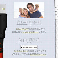 オウルテック 断線に強いUSB Type-A to Lightningケーブル 1m ブラック OWL-CBALA10-BK 1個