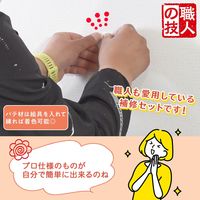 コモライフ 職人の技 型取りができるクロスの補修セット 391567 1セット（直送品）
