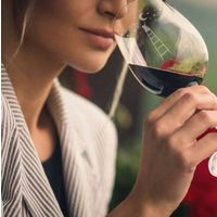 イタリア　ノッテロッサ　プリミティーヴォ 赤ワイン　フルボディ　750ml 1本　日本酒類販売