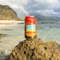 輸入ビール ロングボード アイランドラガー 355ml×3本