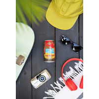 輸入ビール ロングボード アイランドラガー 355ml×6本