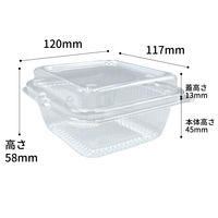 デンカポリマー 嵌合フードパック OP-200A穴有 1000枚(100枚×10) 93333 1ケース(1000枚入(100枚×10袋))（直送品）