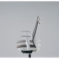 オカムラ ポータム 肘なし 背メッシュ スタンダードバック ウレタンキャスター CF11ZR FKB5 1脚（直送品）