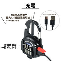 ビックマン LEDミニミニポケットライト 充電式 縦丸 BPLM-05 1個（直送品）