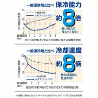 氷点下パックGT-16℃・ハード900g 81660613 1個 LOGOS/ロゴス