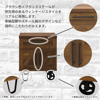 エイ・アイ・エス ロバスト キャビネット 幅600×奥行450×高さ753mm ブラウン ROB-7560CB BR 1台（直送品）