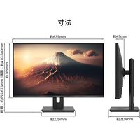 JAPANNEXT 28インチワイド4K液晶モニター Type-C対応/上下昇降機能/縦横回転機能 1台