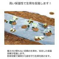 岩谷マテリアル 岩谷 菜園用黒マルチ 0.02mm×1350mm×50m 2100735 1巻（直送品）