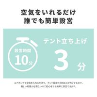 ラプラス MR-003-RYミクルーム エア ロッジ RY　1張（直送品）