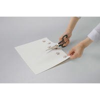 サンコー 吸着壁汚れ防止シート KV-35 1セット(3枚入)