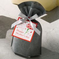 ヘッズ 2重不織布リボン付バッグ-XS/グレー DFG-RBXS 1組(20枚)