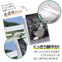 セキセイ パックンプレゼンホルダー高透明　Ａ５　２０ポケット　クリア PKP-7425-90 1冊