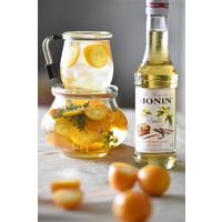 モナン バニラ・シロップ 1本