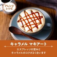 片岡物産 バンホーテン キャラメルシロップ 1個（630g）
