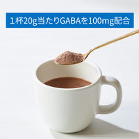 片岡物産 バンホーテンの快眠ココア 1袋（100g）