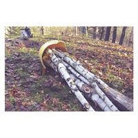 和光商事 スキッドコーン（木寄せキャップ） 40-230-01 1個（直送品）