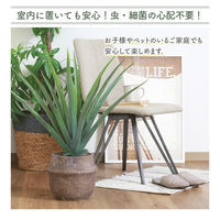 不二貿易 フェイクグリーン アロエ M セメントポット 41136 1個